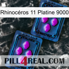 Rhinocéros 11 Platine 9000 03